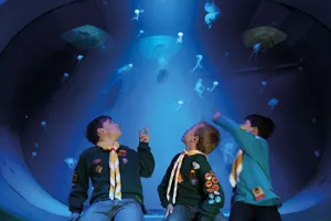 Sealife Groups Boyscouts | SEA LIFE Aquarium