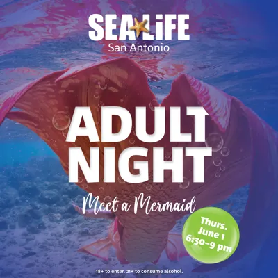 ME SA 1080X1080 Adult Night MAM