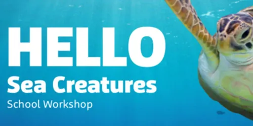 Microsoftteams Image