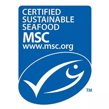 Msc Logo