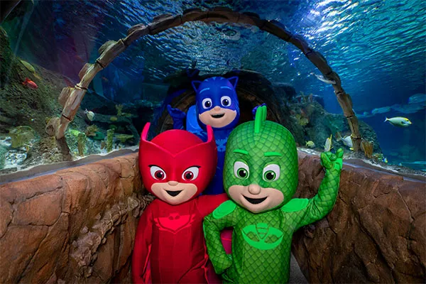PJ Masks Event | SEA LIFE Scarborough PJ Masks Event | SEA LIFE Scarborough