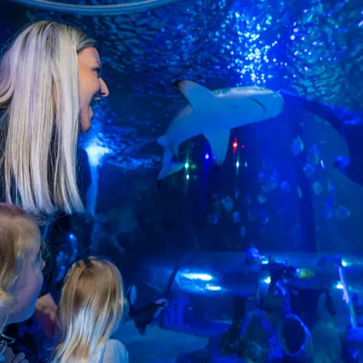 Sl Scarborough Lap (1)