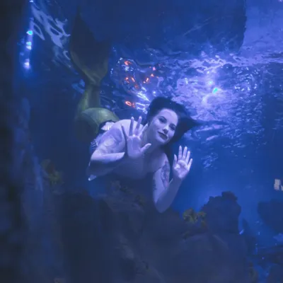 Mermaid 2