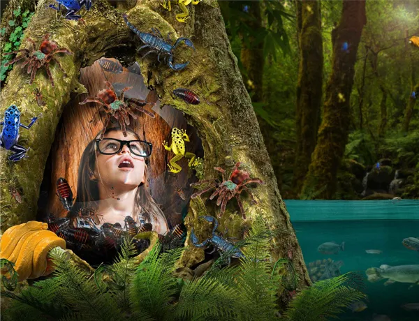 Rainforest adventure