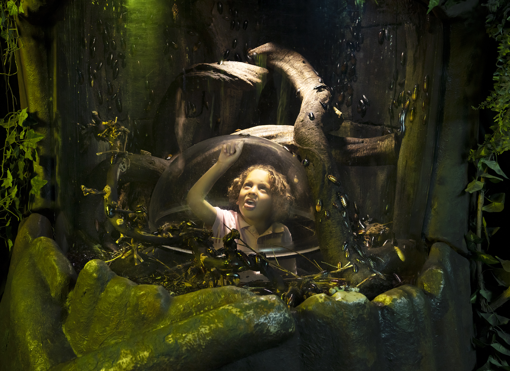 Girl at the Rainforest Adventure Zone SEA LIFE