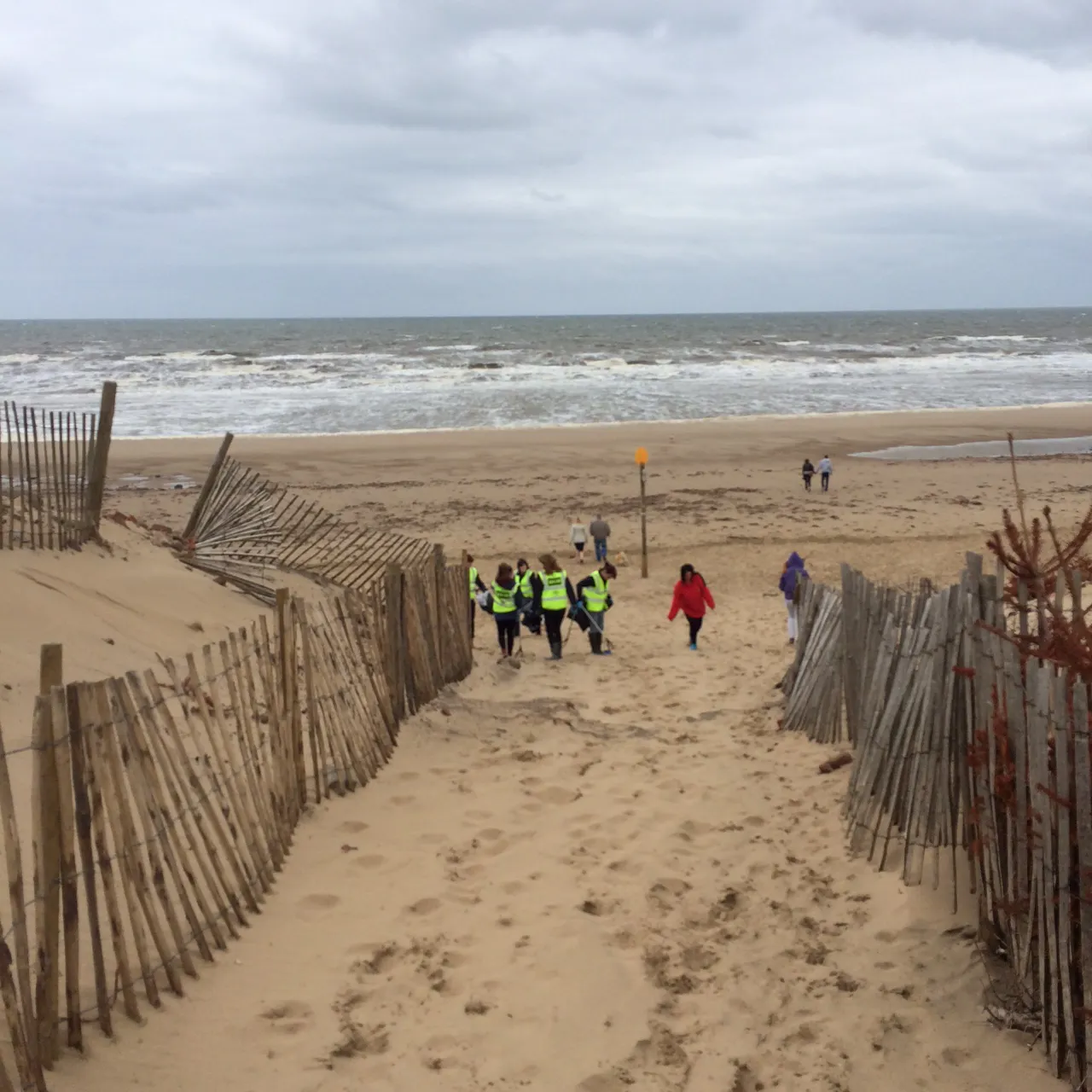 Beach Clean