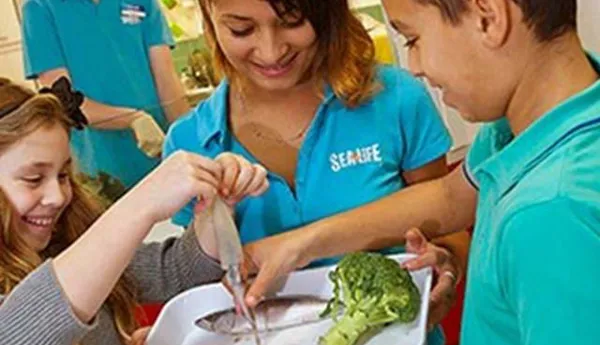 Students at SEA LIFE