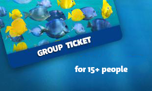 SLSCHEV Group Ticket ENG