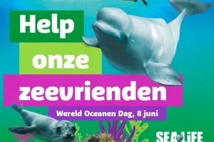 Event Square 1000X1000