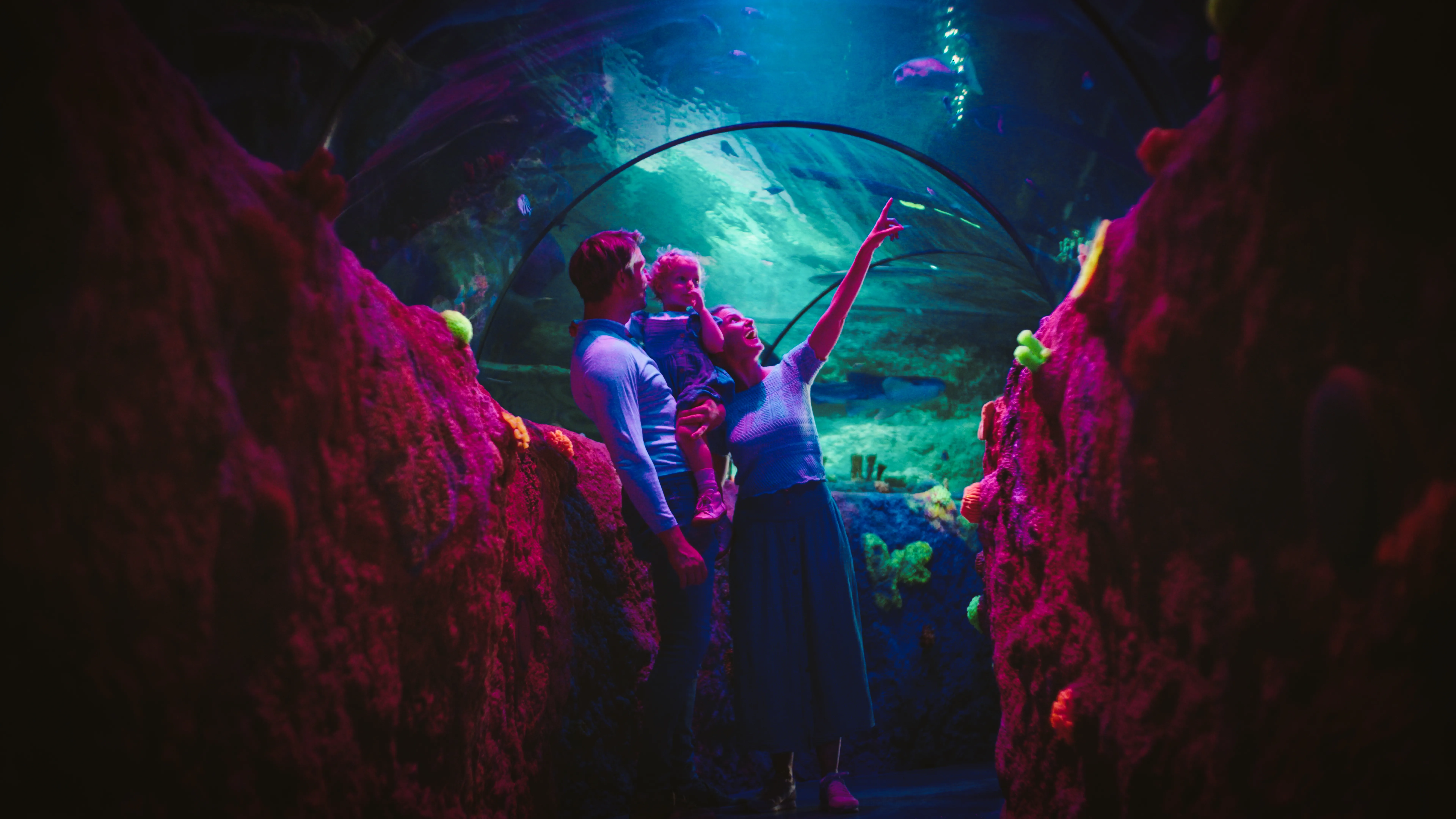 SEA LIFE tunnel