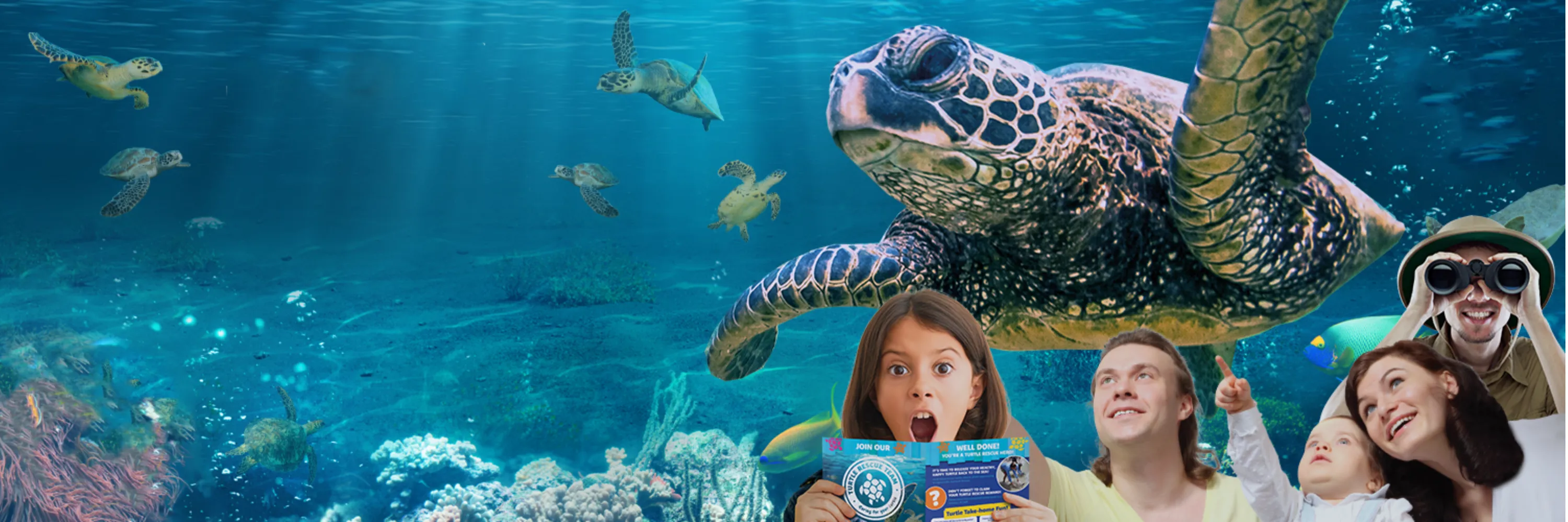 Eventpage Hero Turtle SL 2025