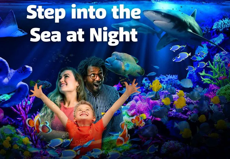 Sea at Night