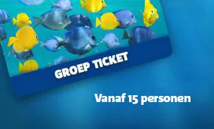 SLSCHEV Group Ticket NL