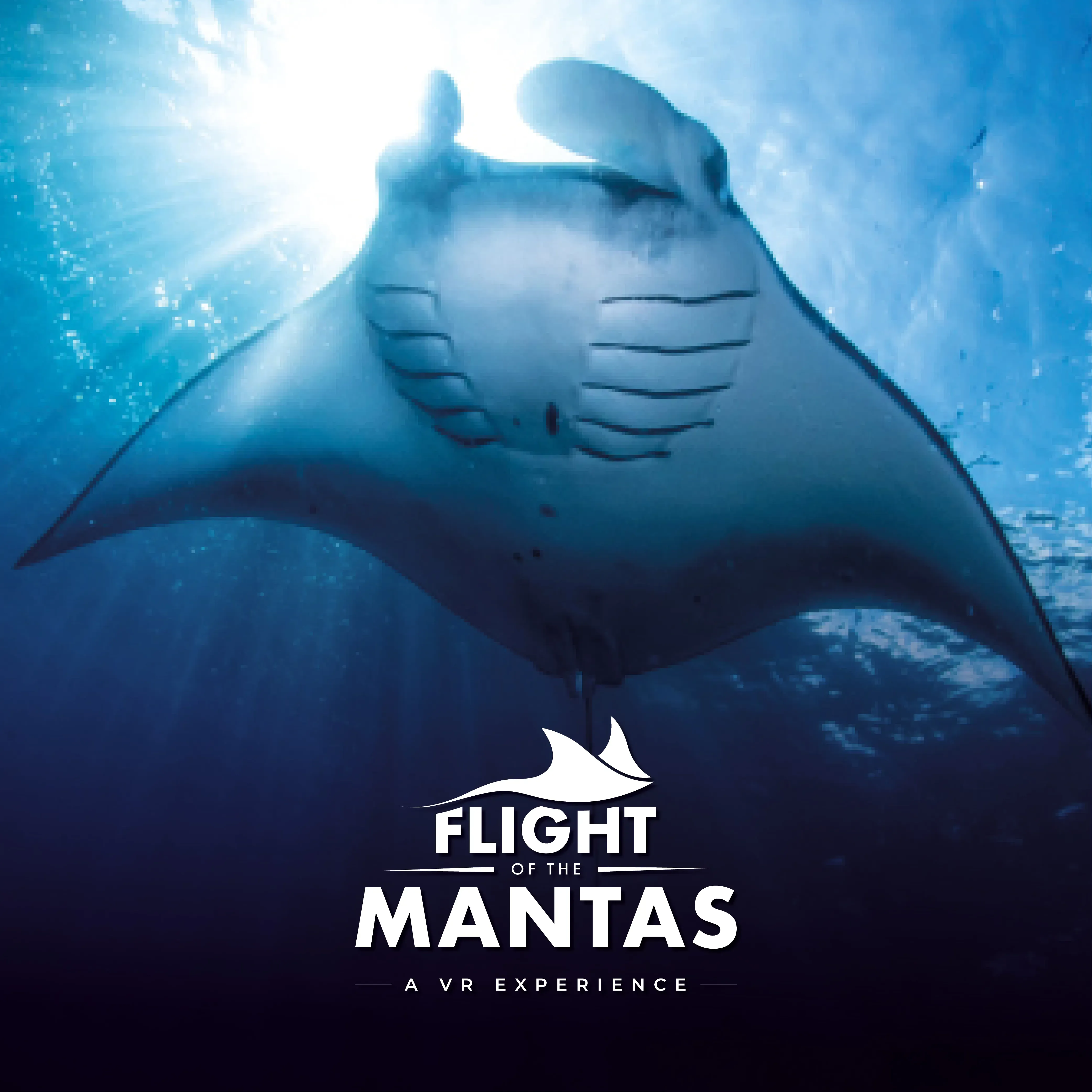 Flight Of The Mantas English Social 1000 X 1000 Generic 4