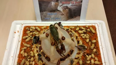 Ijstaart Met Vis