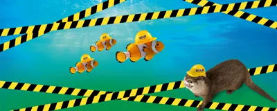 Webiste Verbouwing SL