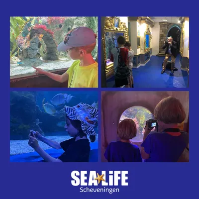Foto Collage 3 Vierkant Sea Life Kopiëren