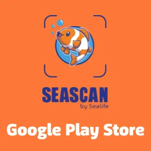 Sea Scan App