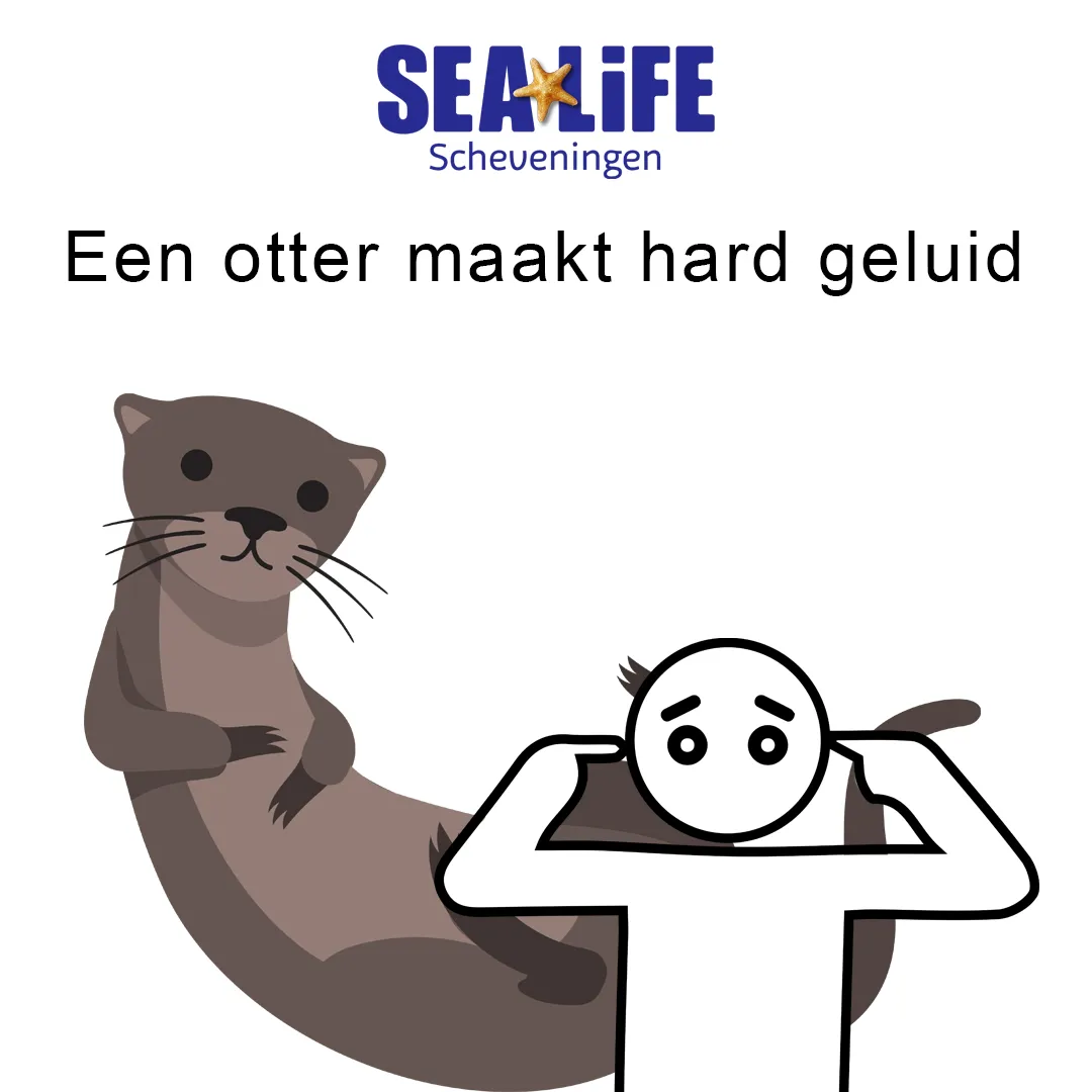 Pictogram Otter Social 2