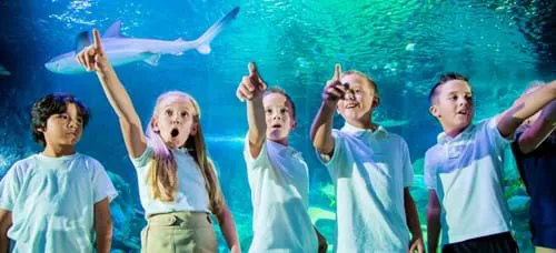 Sea Life Speyer Schulen