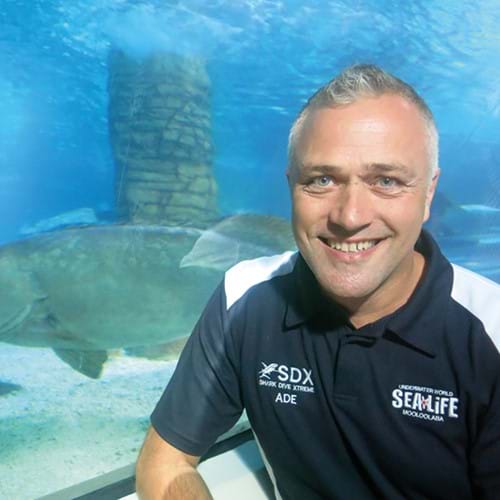 Ade arbeitet als Diver Supervisor für das SEA LIFE Mooloolaba