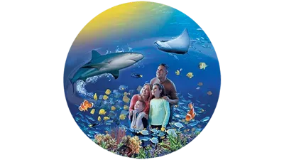 SEA LIFE Basisinformationen