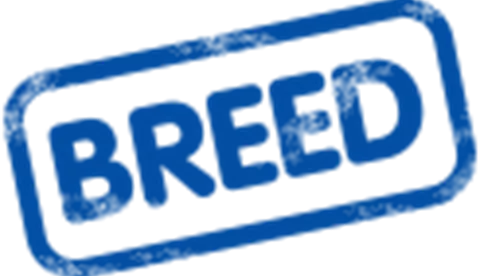 Breed Label