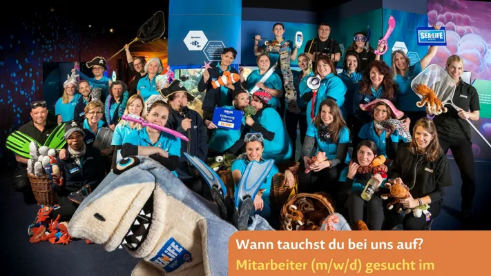 Wir Suchen Dich!