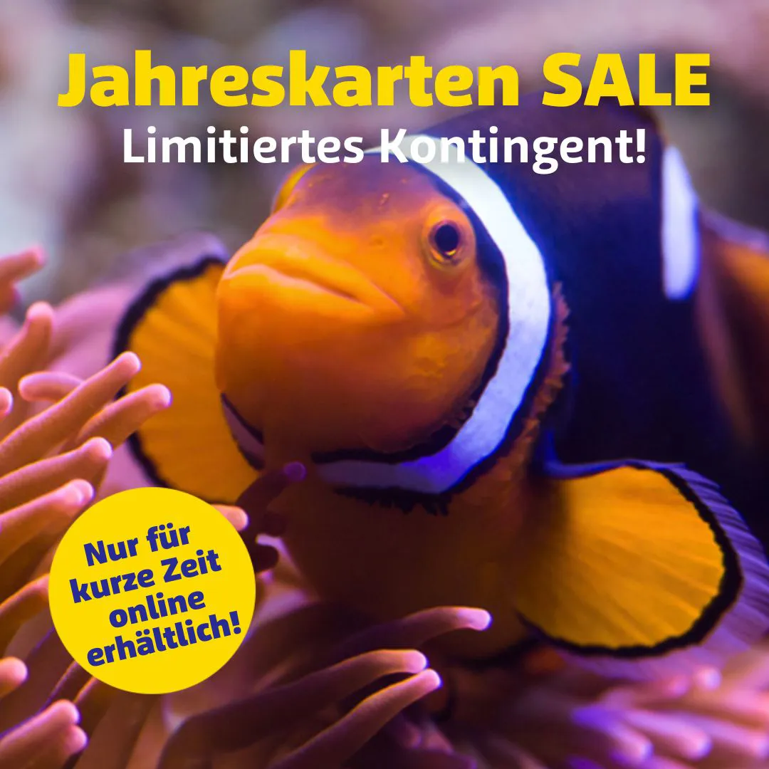 Sea Life Speyer Gutschein 2 Für 1 SEA LIFE Speyer | Dein Ausflugsziel für die ganze Familie
