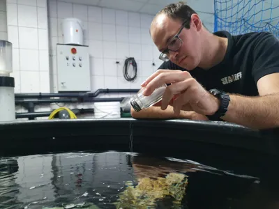 Aquarist Mit Salzstreuer