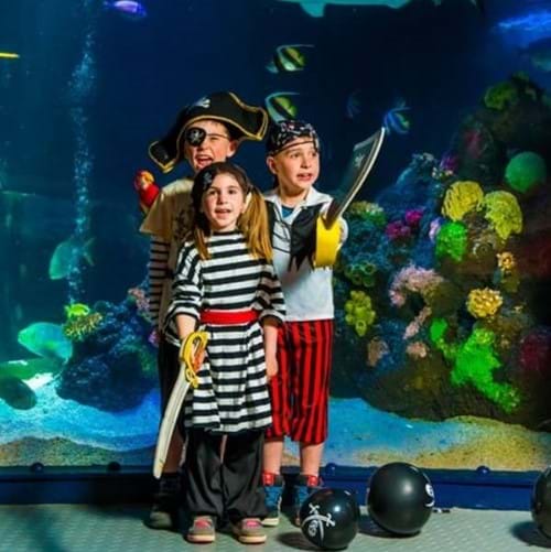 Kindergeburtstag mit Piratenmotto im SEA LIFE