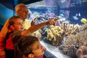 Sealife Speyer 3261 (3)