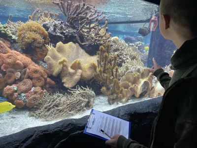 SEA LIFE Speyer Fischinventur 2023