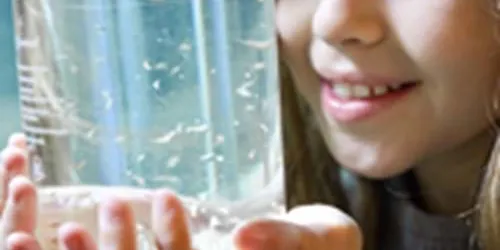 Das SEA LIFE bietet verschiedene Touren, zum Beispiel zum Thema Wasser für Kinder an