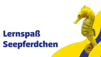 Sl 1920X960px Schule Lernspass Seepferdchen