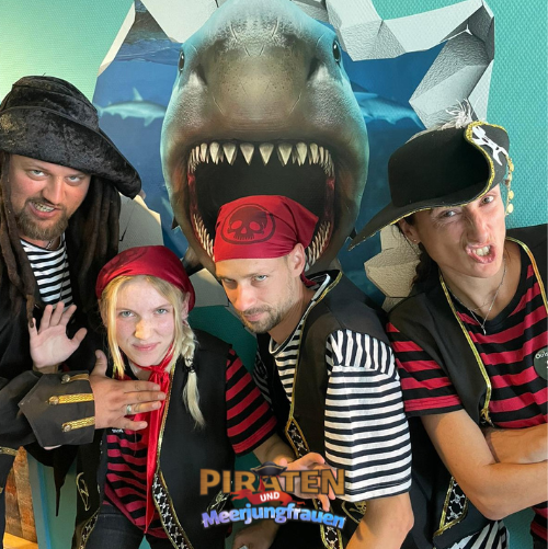Piratenbild Website