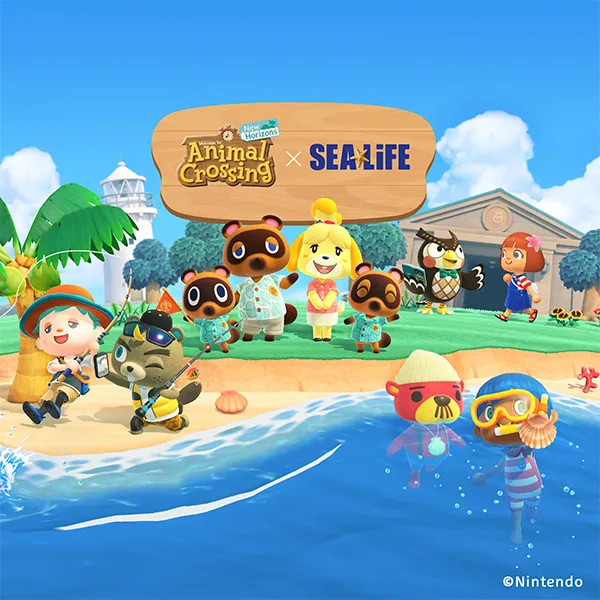 ACNH Aquarium MV FINAL 2026 600X600px