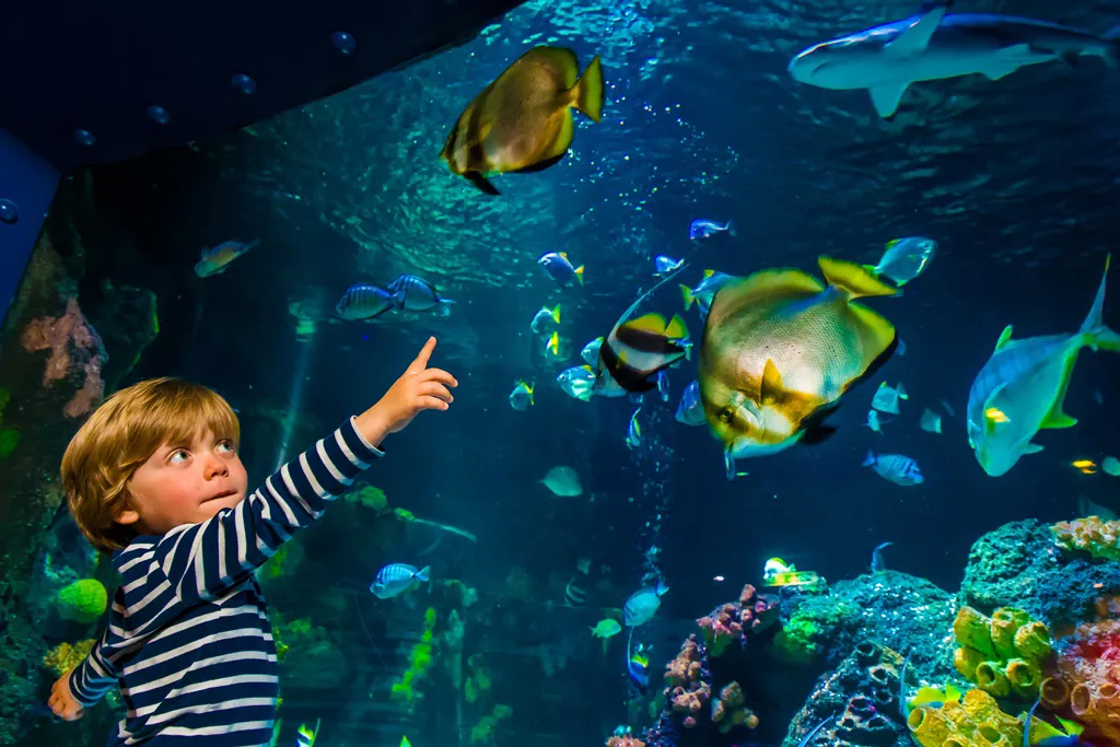 Sea Life Speyer Gutschein 2 Für 1 SEA LIFE Speyer | Your destination for the whole family