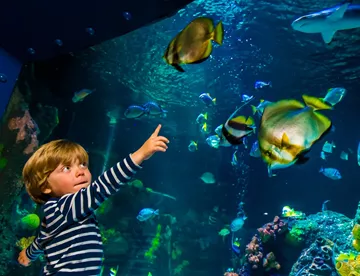 For children SEA LIFE is a fascinating place where they learn a lot