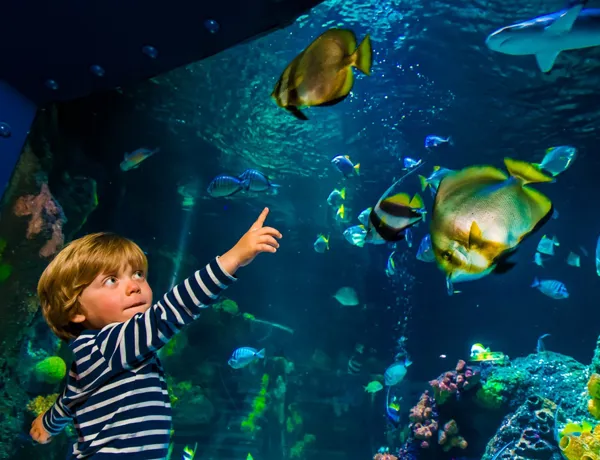Für Kinder ist das SEA LIFE ein faszinierender Ort, in dem sie viel lernen