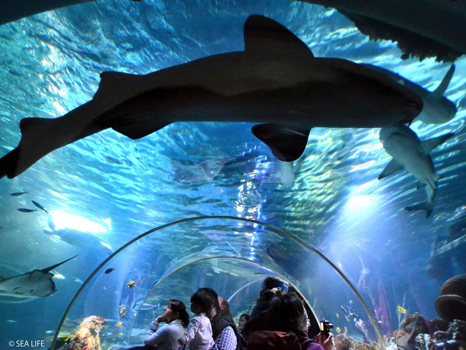 Aquarium Zoo In Der Nähe