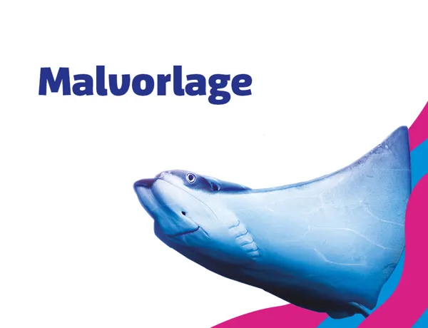 SL 960X960px Schule Malvorlage