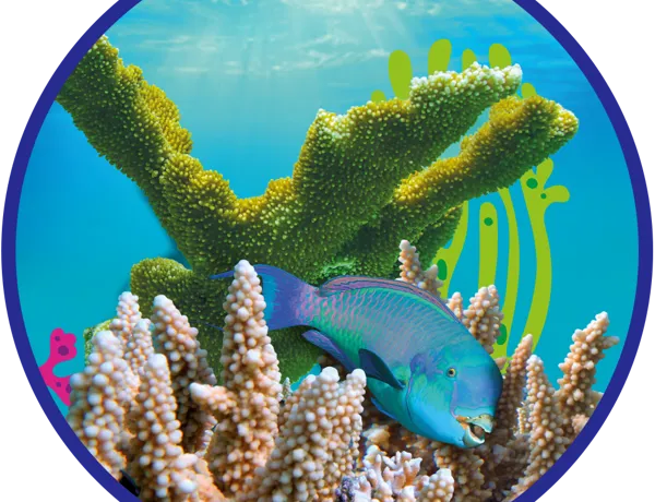 SL Conservation Round Coral 1000X1000px