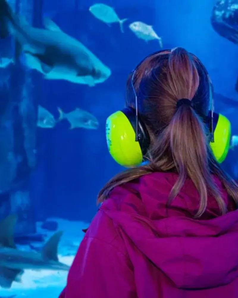 Web Mobil Autismustag 800 X 1000 Px General