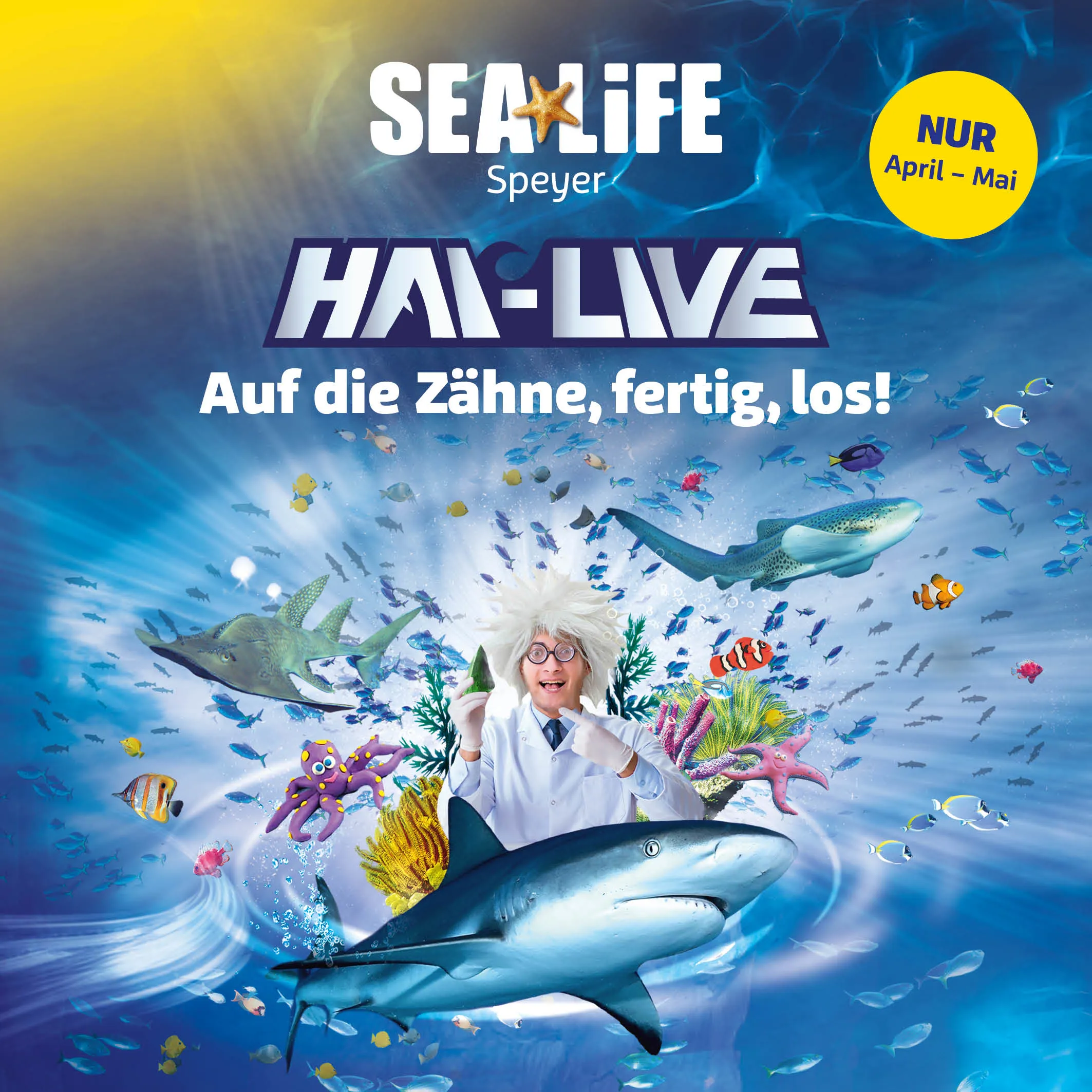 Sea Life Speyer Gutschein 2 Für 1 SEA LIFE Speyer | Dein Ausflugsziel für die ganze Familie