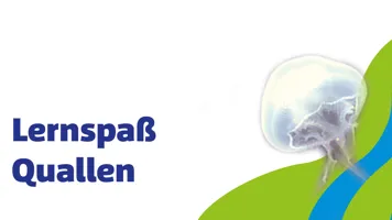 Sl 1920X960px Schule Lernspass Quallen