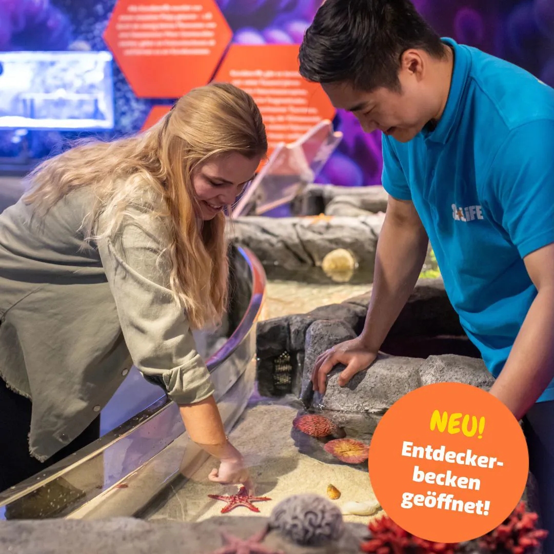 Sea Life Speyer Gutschein 2 Für 1 SEA LIFE Speyer | Dein Ausflugsziel für die ganze Familie
