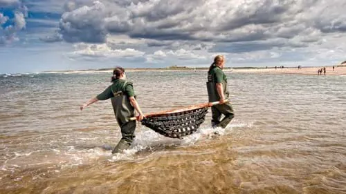 Das Motto des SEA LIFE Trusts lautet Erhalten, Retten, Beschützen