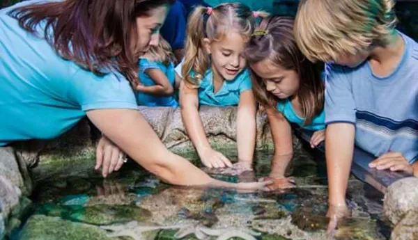 Sea Life Paris Schools
