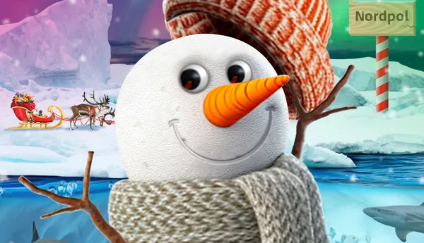 SL SNOWY Promo Event Page 1000X1000px German